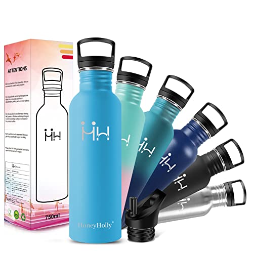 HoneyHolly Trinkflasche Edelstahl | Trinkflasche mit Strohhalm 750ML | Nicht Isolierte Einwandige | Wasserflasche Auslaufsichere | BPA-frei | Trinkflasche kohlensäure Geeignet mit Filter